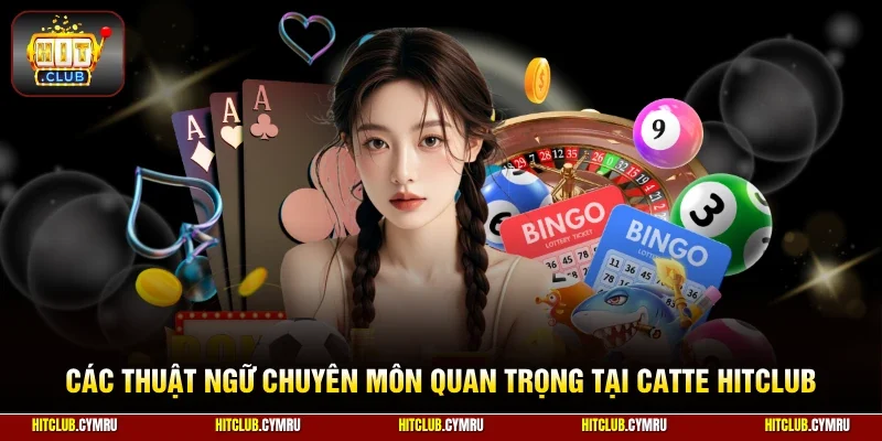 Các thuật ngữ chuyên môn quan trọng tại Catte HitClub